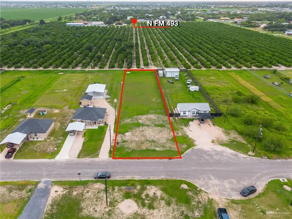 11619 Abasolo Street, Donna, TX 78537 - #1