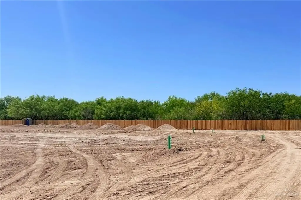 Lot 55 Norma Avenue, Alamo, TX 78516 - #1