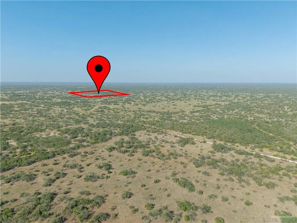 0 E Puerto Rico Road, Linn, TX 78563 - #1