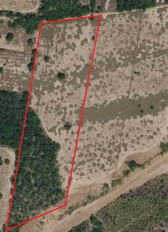 000 Leo Road W, Rio Grande City, TX 78582 - #3