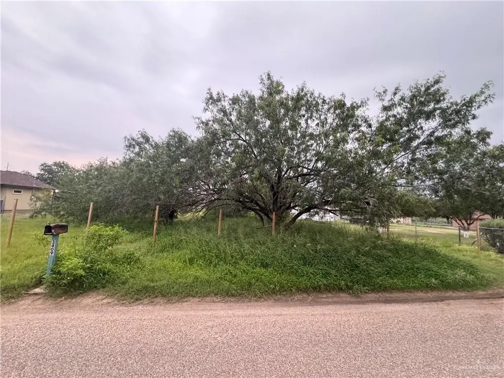 3409 Tanner Court, Mission, TX 78574 - #1