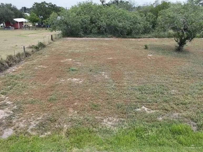7318 N 1st Street, Edinburg, TX 78542 - #3