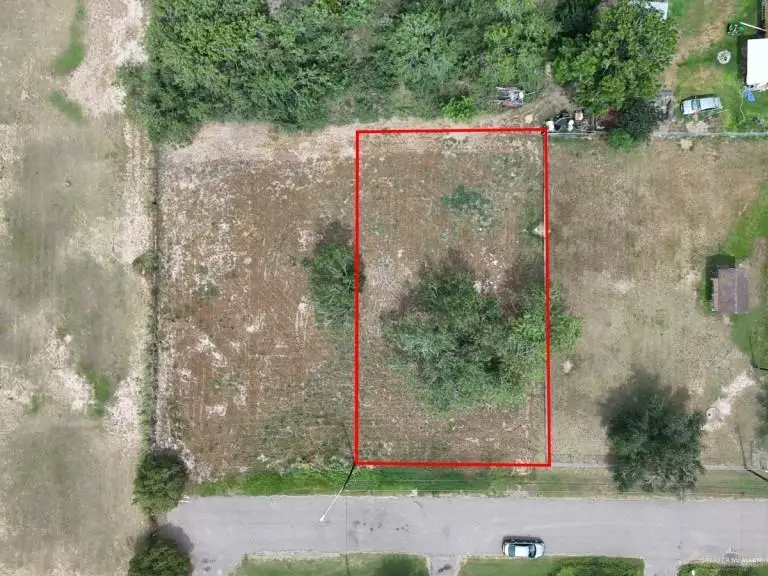 7314 N 1st Street, Edinburg, TX 78542 - #1