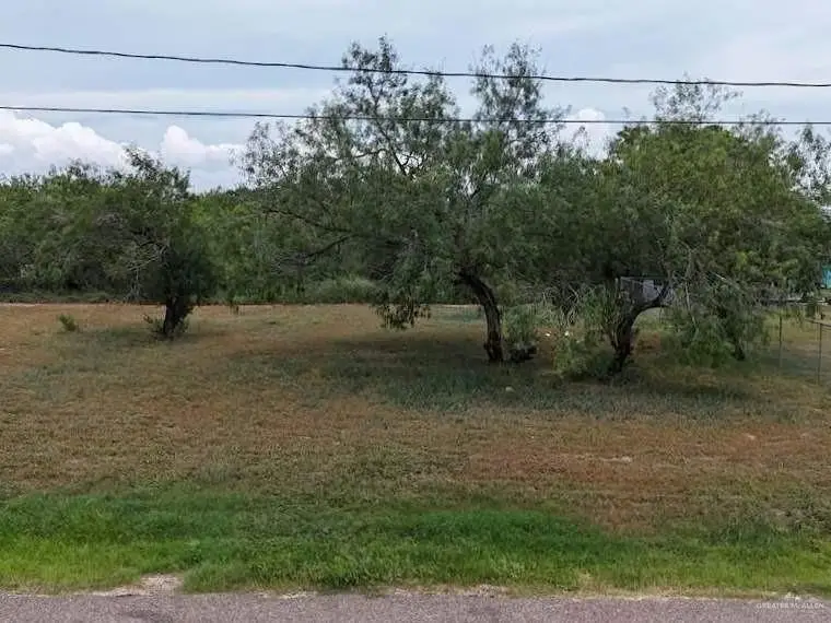 7314 N 1st Street, Edinburg, TX 78542 - #3