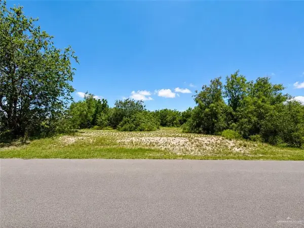 000 Monte Cristo Heights Road, Edinburg, TX 78541