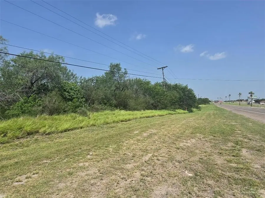 0000 S El Faro Highway S, Sullivan City, TX 78595 - #2