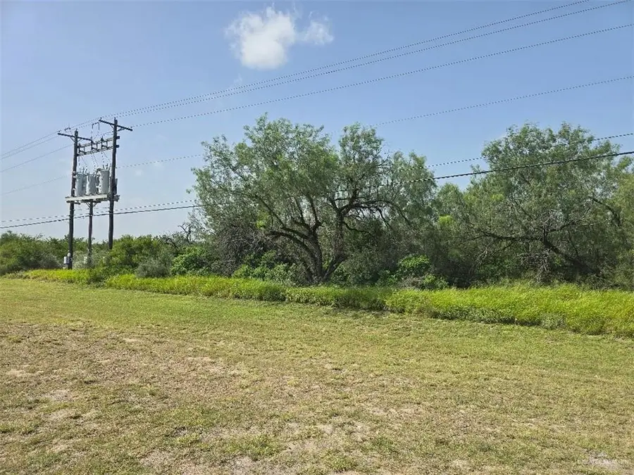 0000 S El Faro Highway S, Sullivan City, TX 78595 - #3