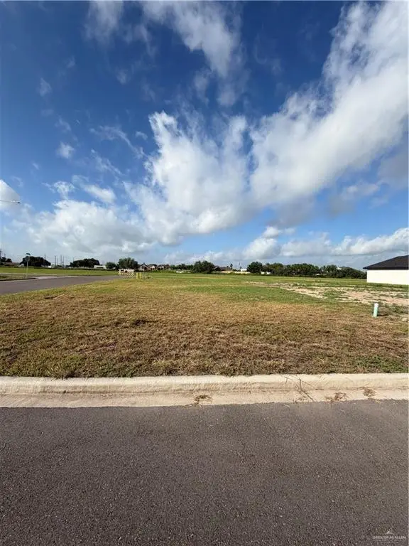1810 Foxtail Street, Donna, TX 78537 - #1