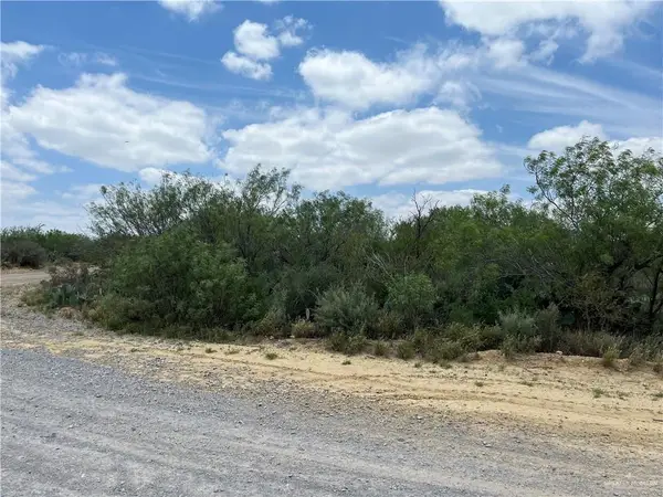 319 Pelican Street, Zapata, TX 78076