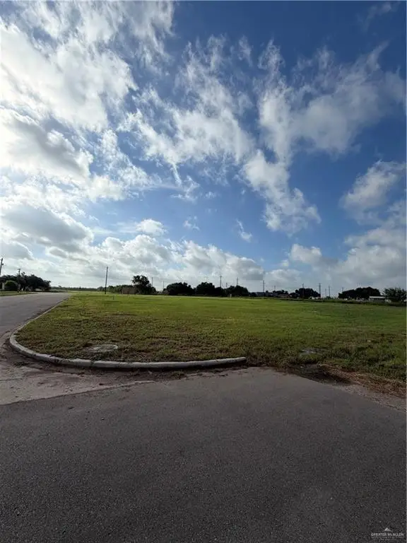 TBD Salinas Boulevard, Donna, TX 78537 - #3