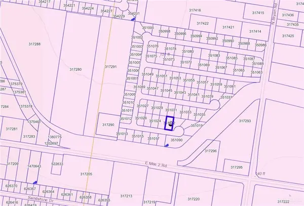 1113 Abraham Street, Mission, TX 78574