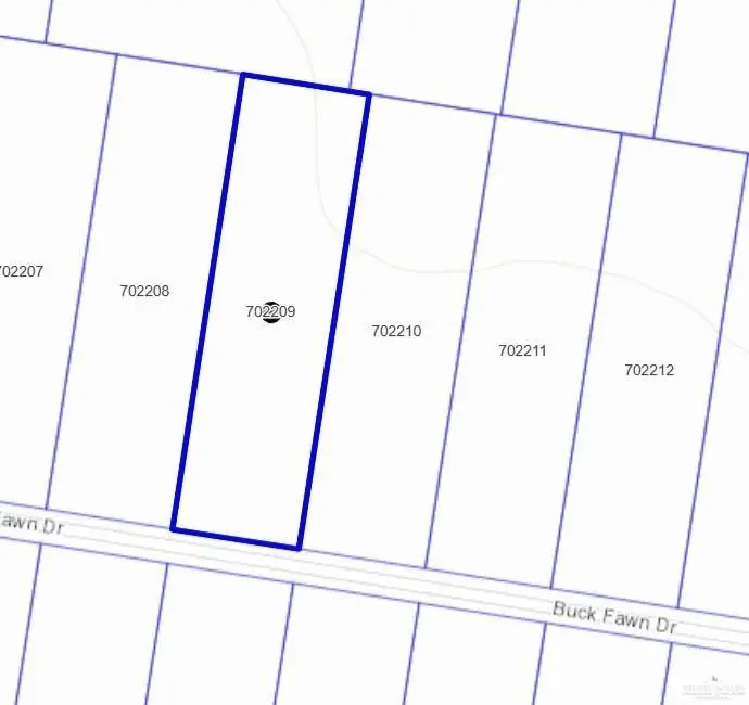 19904 Buck Fawn Drive, Edinburg, TX 78542 - #1