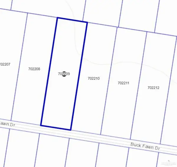19904 Buck Fawn Drive, Edinburg, TX 78542