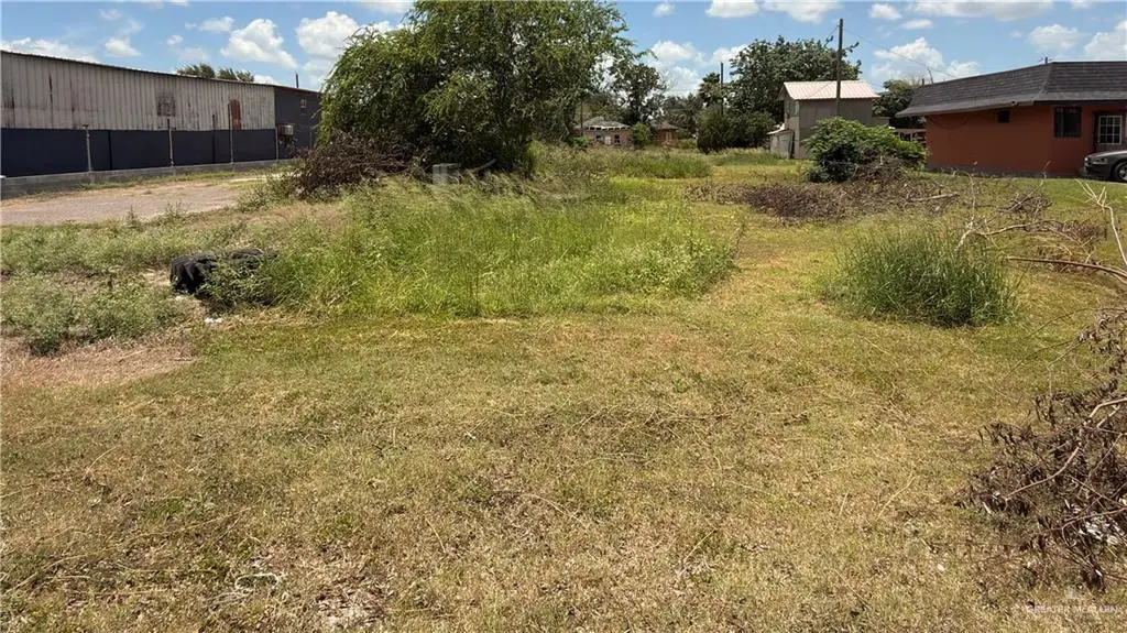 716 N Alton Boulevard, Alton, TX 78573 - #1