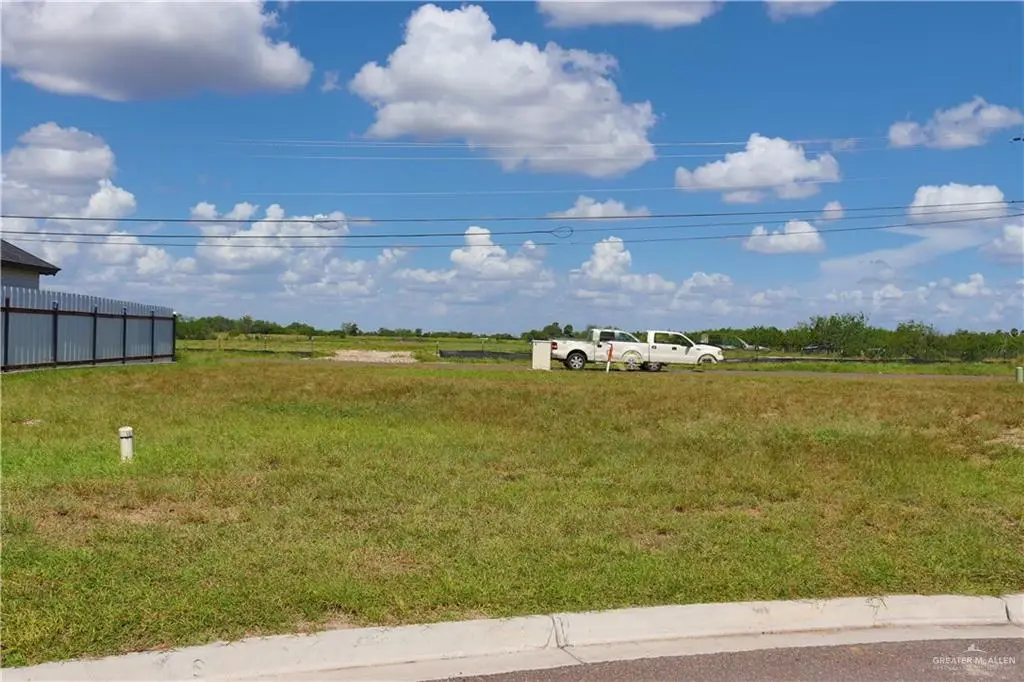 LOT 50 Pecan Street, Alton, TX 78573 - #1