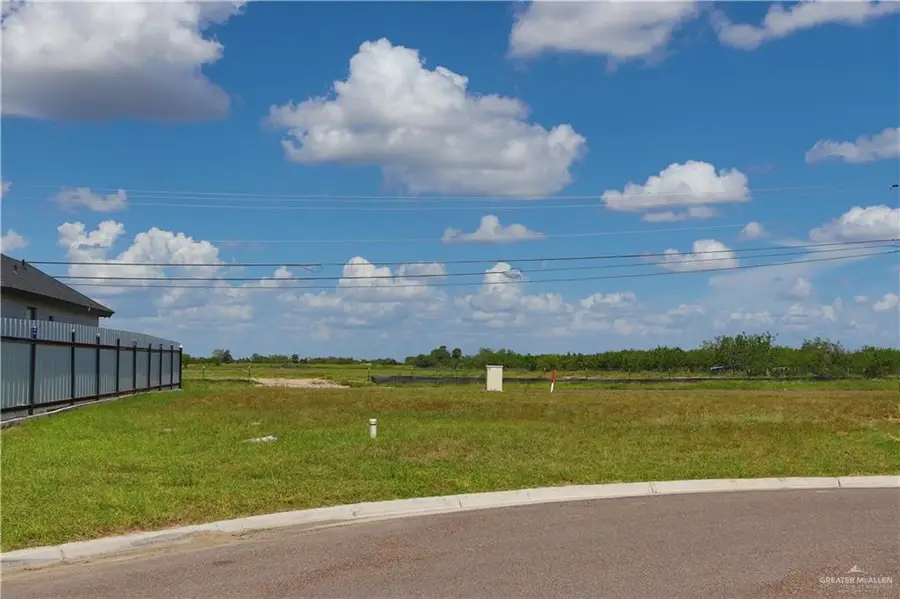 LOT 50 Pecan Street, Alton, TX 78573 - #3