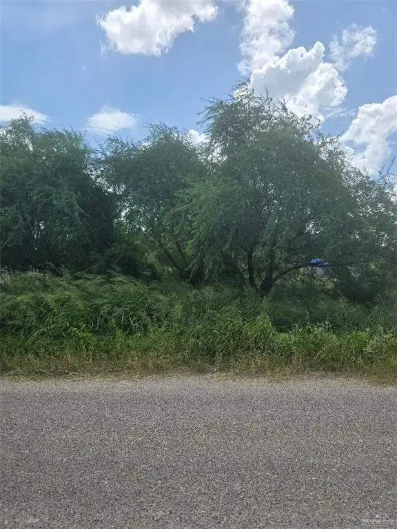 000 Mile 2 1/2 Street N, Weslaco, TX 78596 - #1