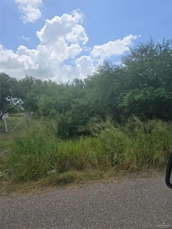0000 Mile 2 1/2 Street, Weslaco, TX 78596 - #1
