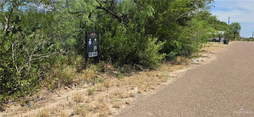 5323 San Pascual Lane, Zapata, TX 78076 - #1