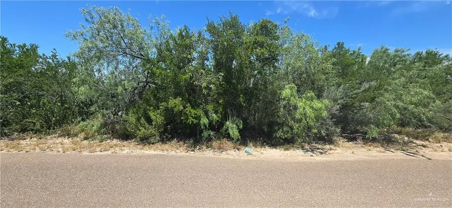 5323 San Pascual Lane, Zapata, TX 78076 - #2