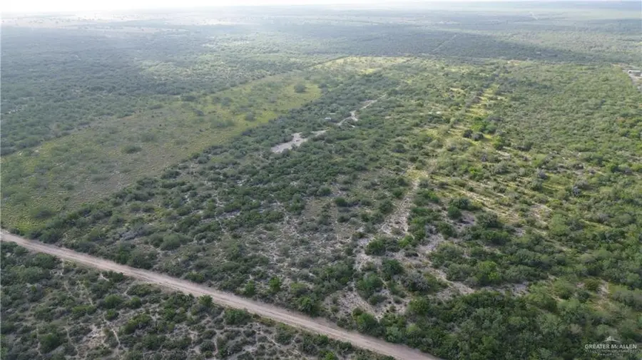 000 Alejandrenas Road, Zapata, TX 78076 - #3