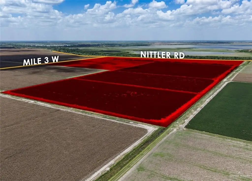 7098 Nittler Road, Edcouch, TX 78538 - #1