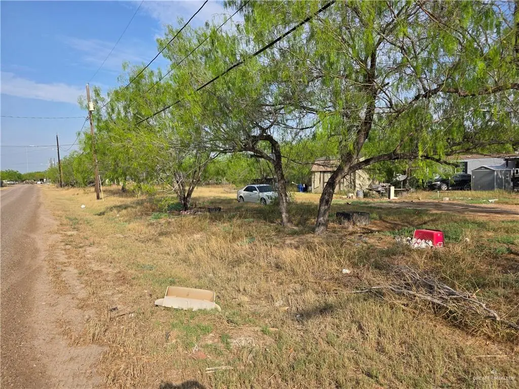 703 E Los Charcos Drive, Palmview, TX 78572 - #1