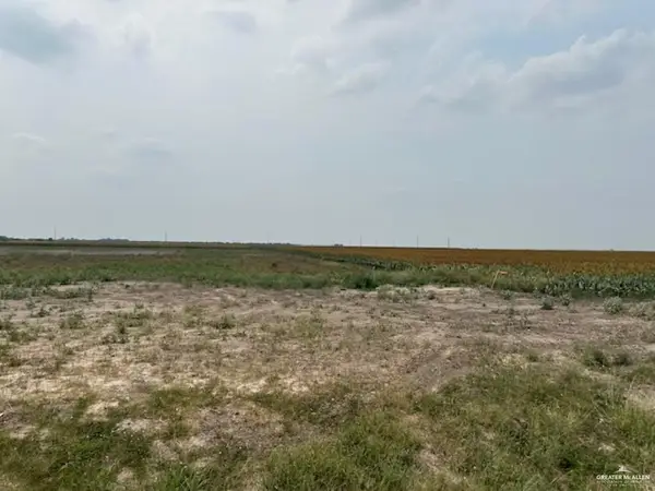lot 4 Briggs Cloeman Briggs Road, Harlingen, TX 78550