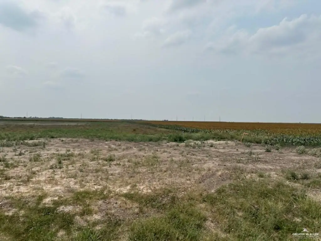 lot 8 Briggs Cloeman Briggs Road, Harlingen, TX 78550 - #1