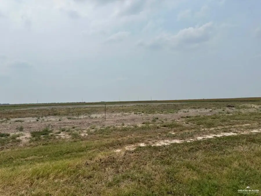 lot 8 Briggs Cloeman Briggs Road, Harlingen, TX 78550 - #3
