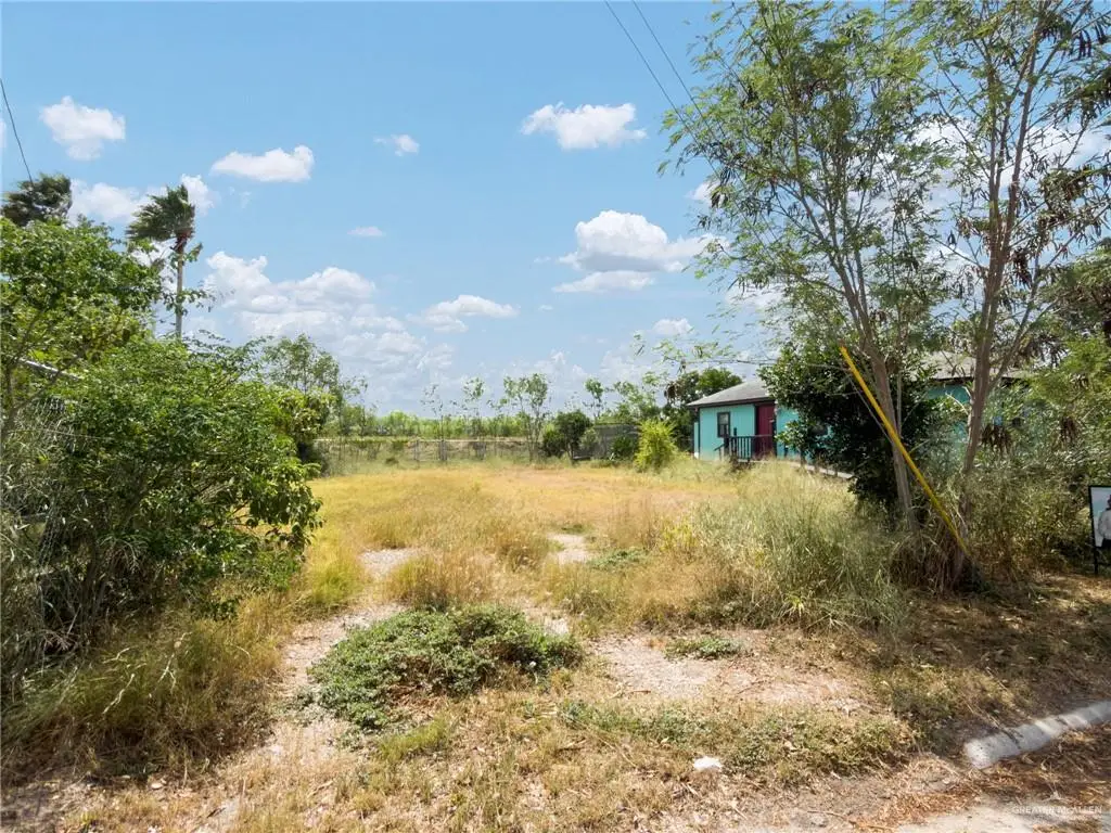 225 S Angelita Street, Edcouch, TX 78538 - #1