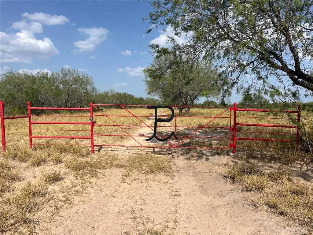47 Mirasoles Road, El Sauz, TX 78582 - #1