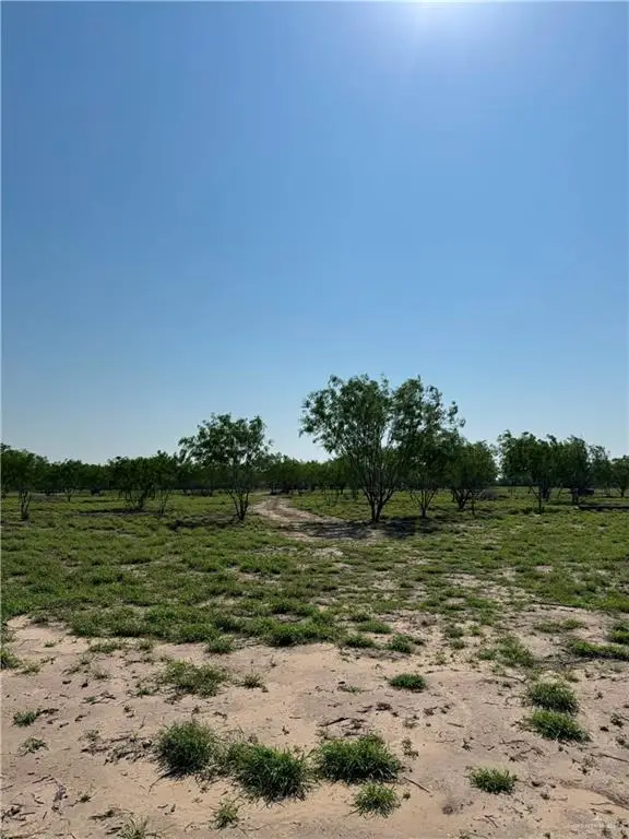 19882 Villa Hermosa Drive, Penitas, TX 78576 - #2