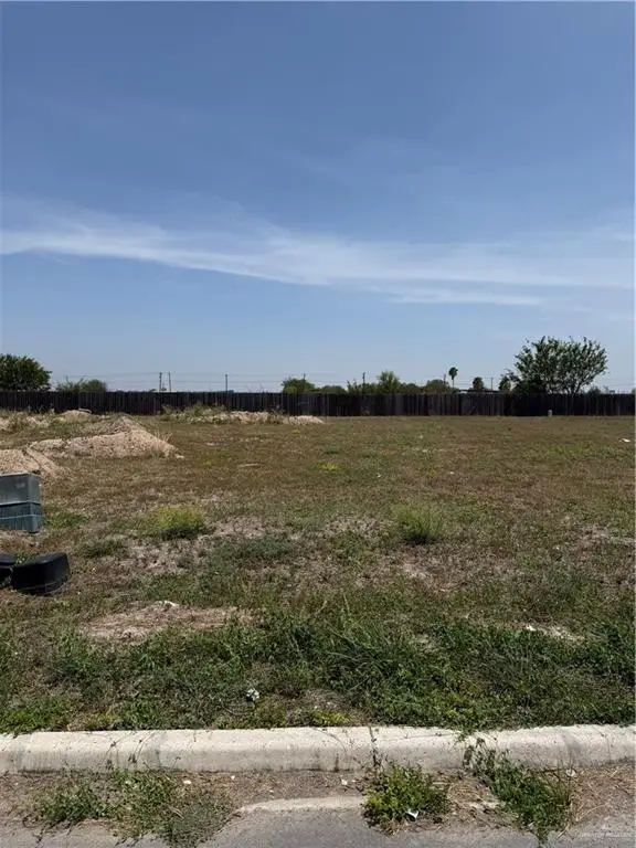 3105 E Zarzamora Avenue, Hidalgo, TX 78557