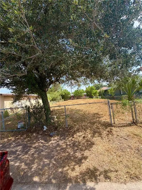 2506 Beaumont Avenue, McAllen, TX 78501 - #2