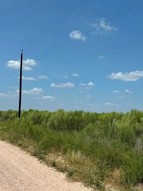 000 Emu Run Service Road, Edinburg, TX 78541 - #2