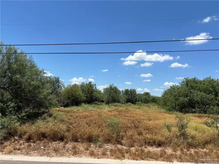 310 Amarillo Drive, Sullivan City, TX 78595 - #2