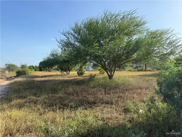 9009 Vista Ridge Drive, Edcouch, TX 78538