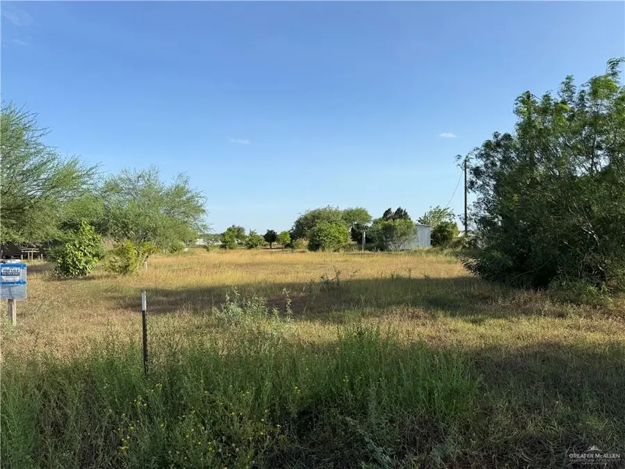 9009 Vista Ridge Drive, Edcouch, TX 78538 - #2