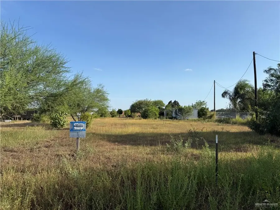 9009 Vista Ridge Drive, Edcouch, TX 78538 - #3