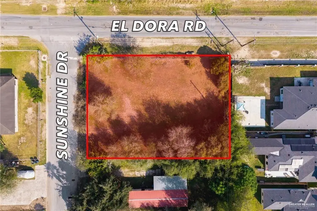 1348 Sunshine Drive, Alamo, TX 78516 - #1