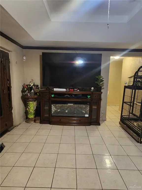 502 W Albatross Avenue, Pharr, TX 78577 - #3