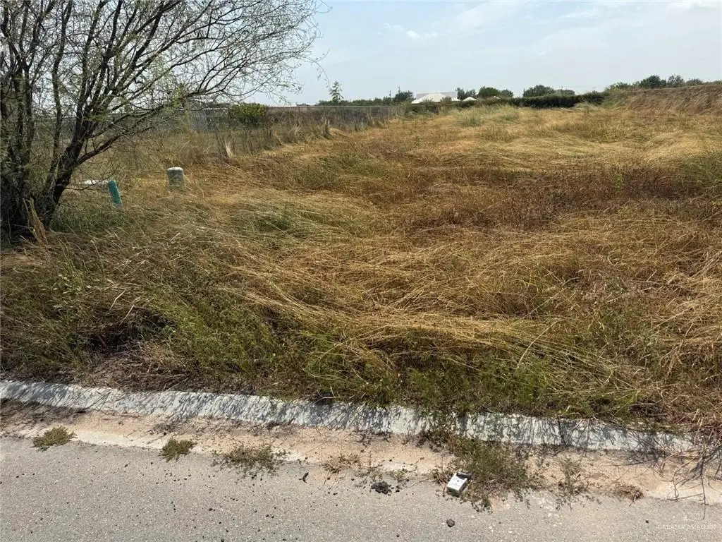 624 Homenaje Street, Edinburg, TX 78542 - #1