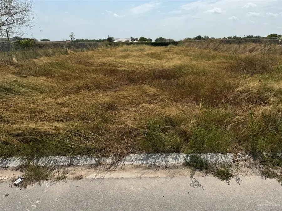 624 Homenaje Street, Edinburg, TX 78542 - #2