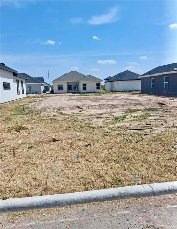 447 Padre Road, Donna, TX 78537 - #1