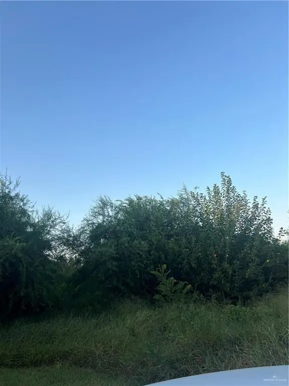 13787 Pepper Street, Santa Rosa, TX 78593 - #3