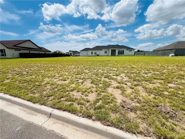 1202 Platinum Street, Mission, TX 78572