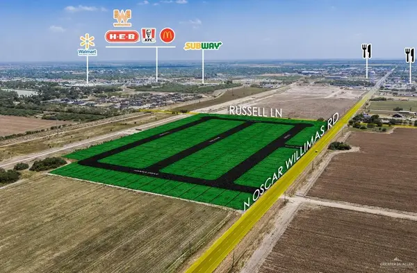 42 acres Oscar Williams Road, San Benito, TX 78586