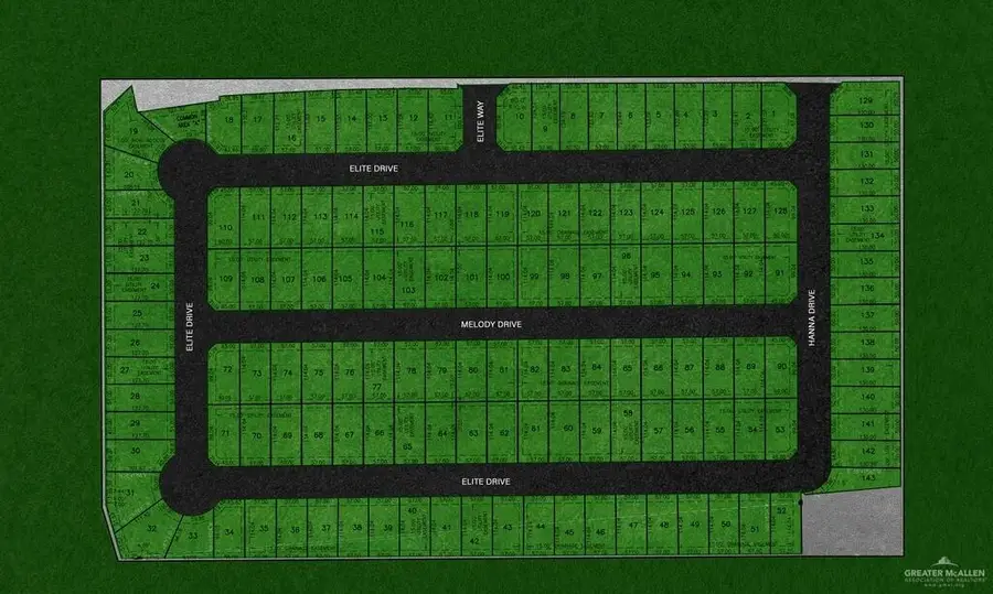 42 acres Oscar Williams Road, San Benito, TX 78586 - #2