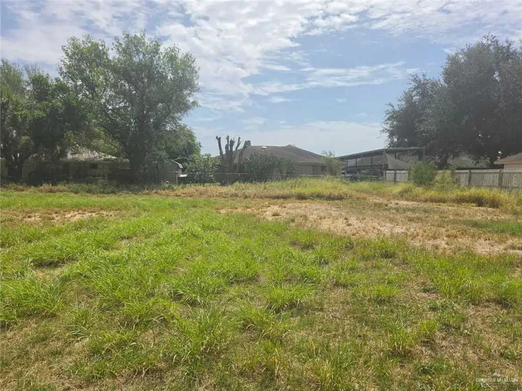 506 Tierra Linda Boulevard, Palmview, TX 78572 - #1